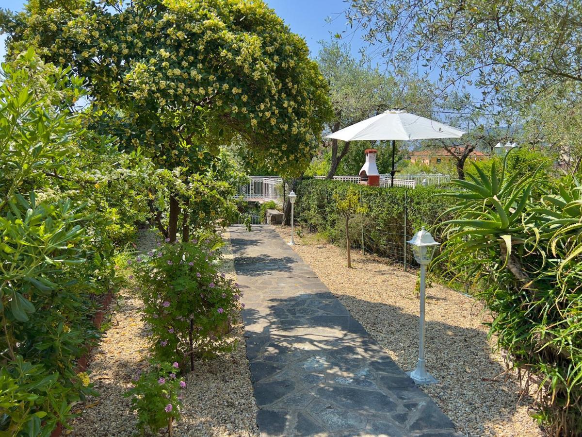 Villa La Rodina Ντιάνο Μαρίνα Εξωτερικό φωτογραφία