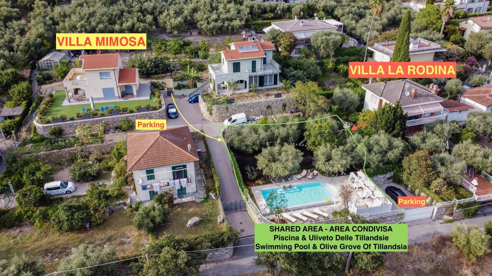 Villa La Rodina Ντιάνο Μαρίνα Εξωτερικό φωτογραφία