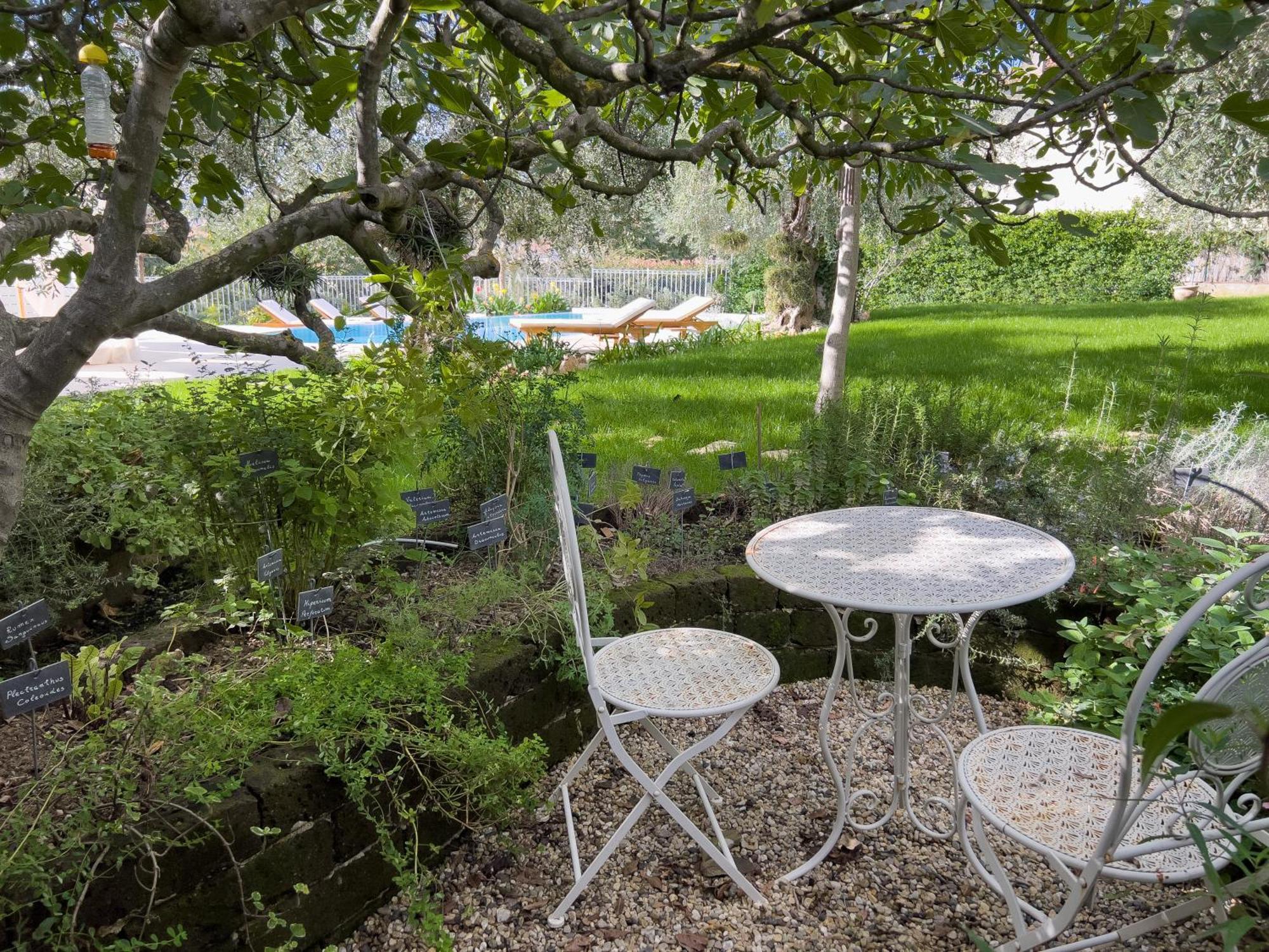Villa La Rodina Ντιάνο Μαρίνα Εξωτερικό φωτογραφία
