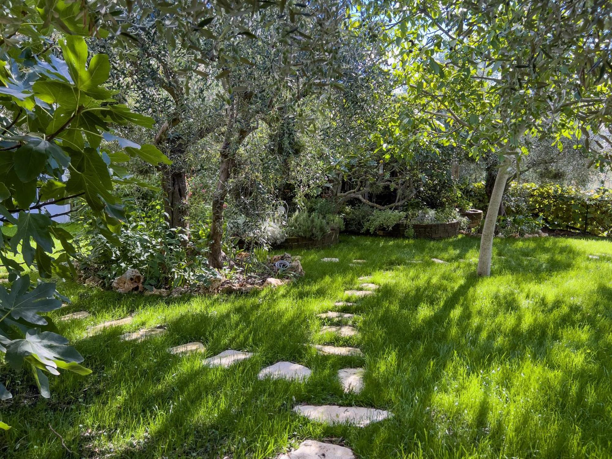 Villa La Rodina Ντιάνο Μαρίνα Εξωτερικό φωτογραφία