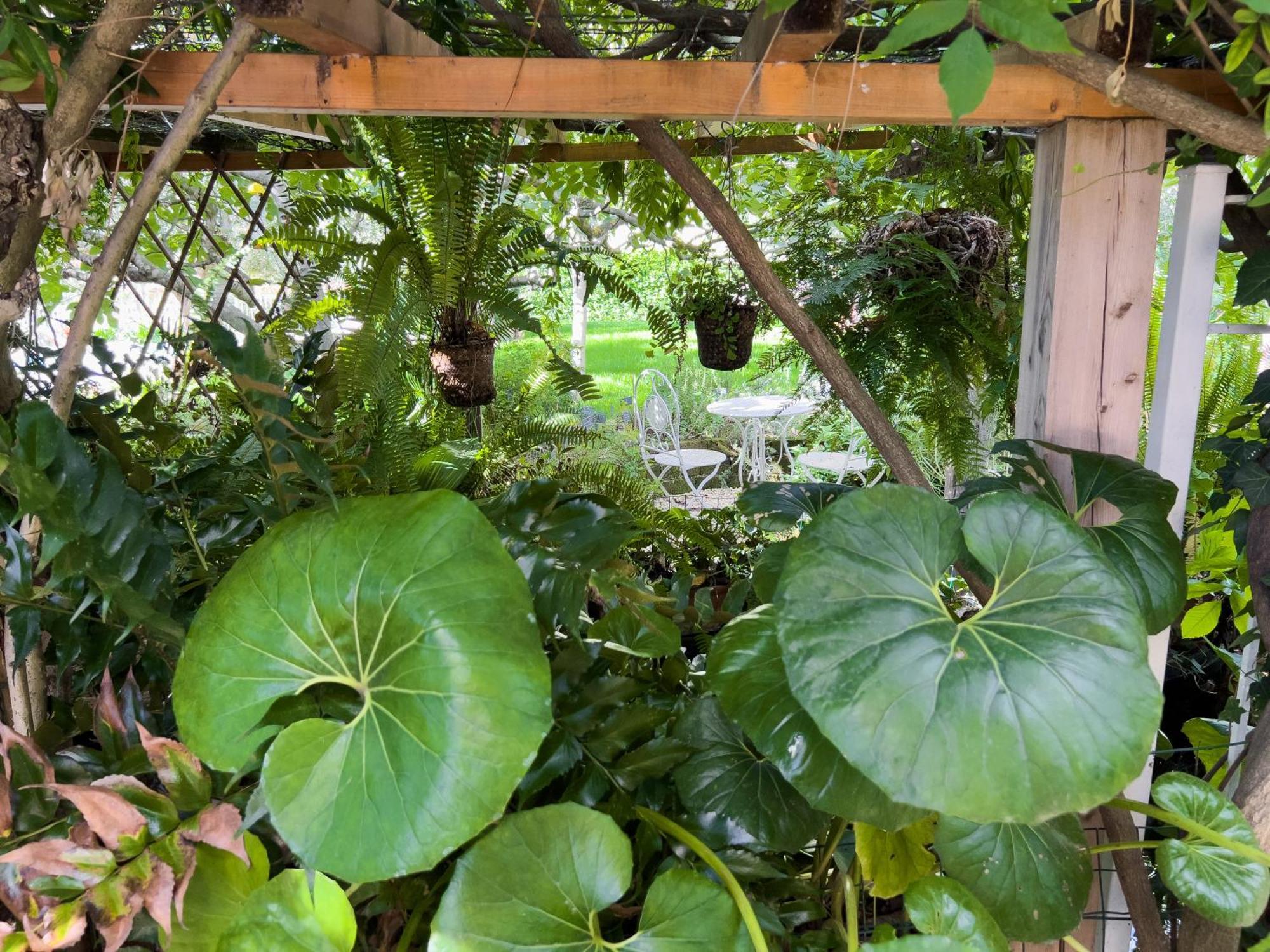 Villa La Rodina Ντιάνο Μαρίνα Εξωτερικό φωτογραφία