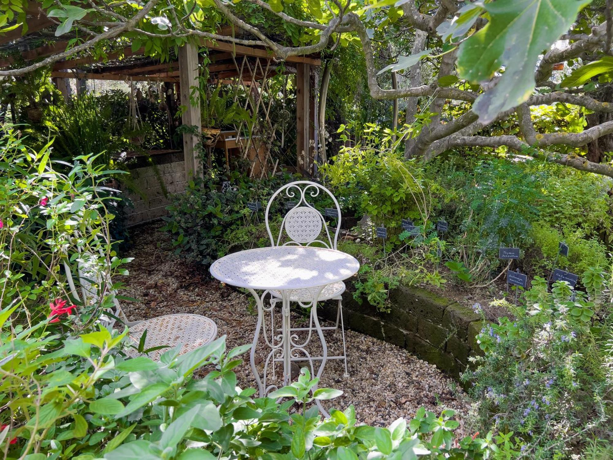 Villa La Rodina Ντιάνο Μαρίνα Εξωτερικό φωτογραφία